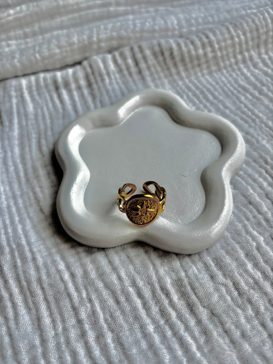 ANILLO BRÚJULA