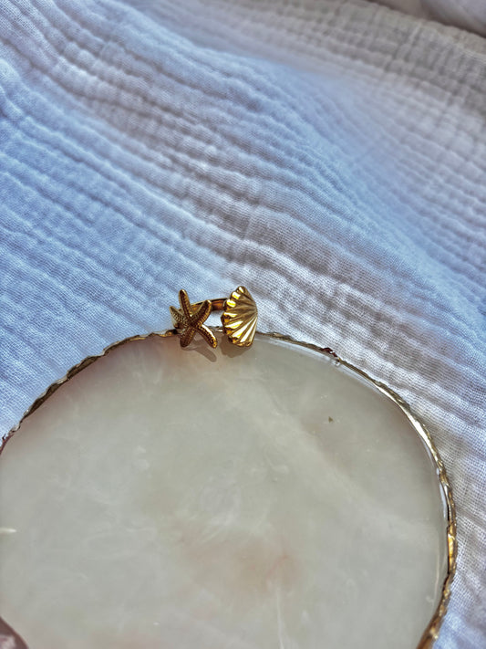 ANILLO MARINO