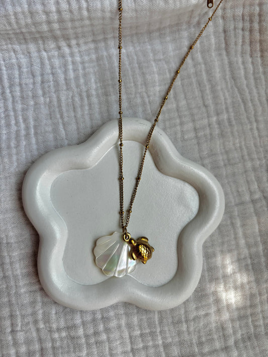 COLLAR TORTU